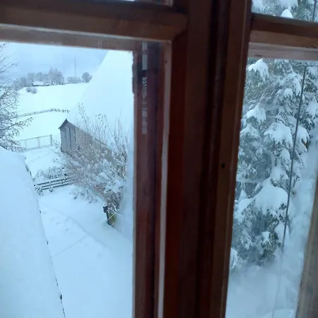 Halne Izby - Goscinne Pansiyon Zab